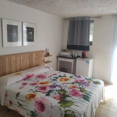 Villa Irma Marina di Camerota Zewnętrze zdjęcie