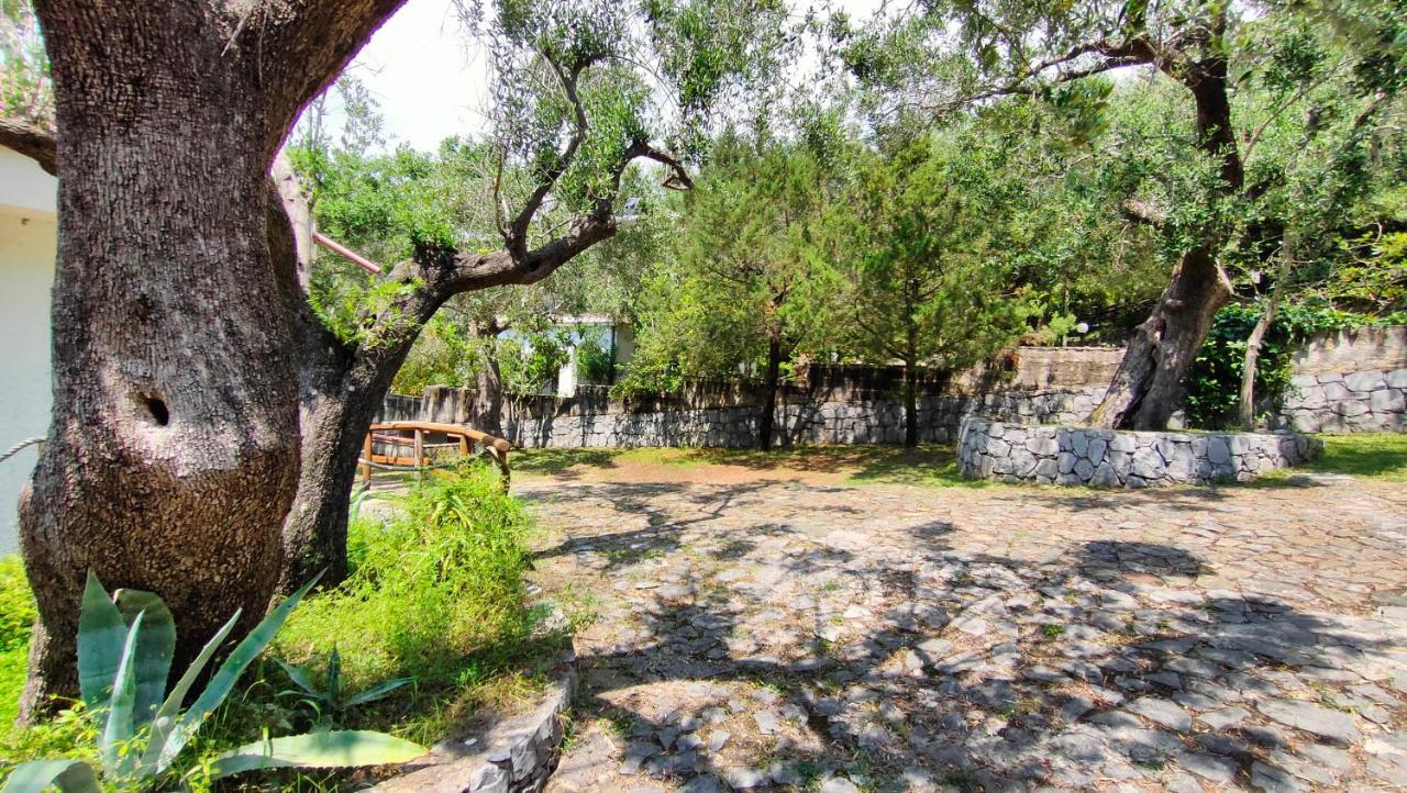 Villa Irma Marina di Camerota Zewnętrze zdjęcie