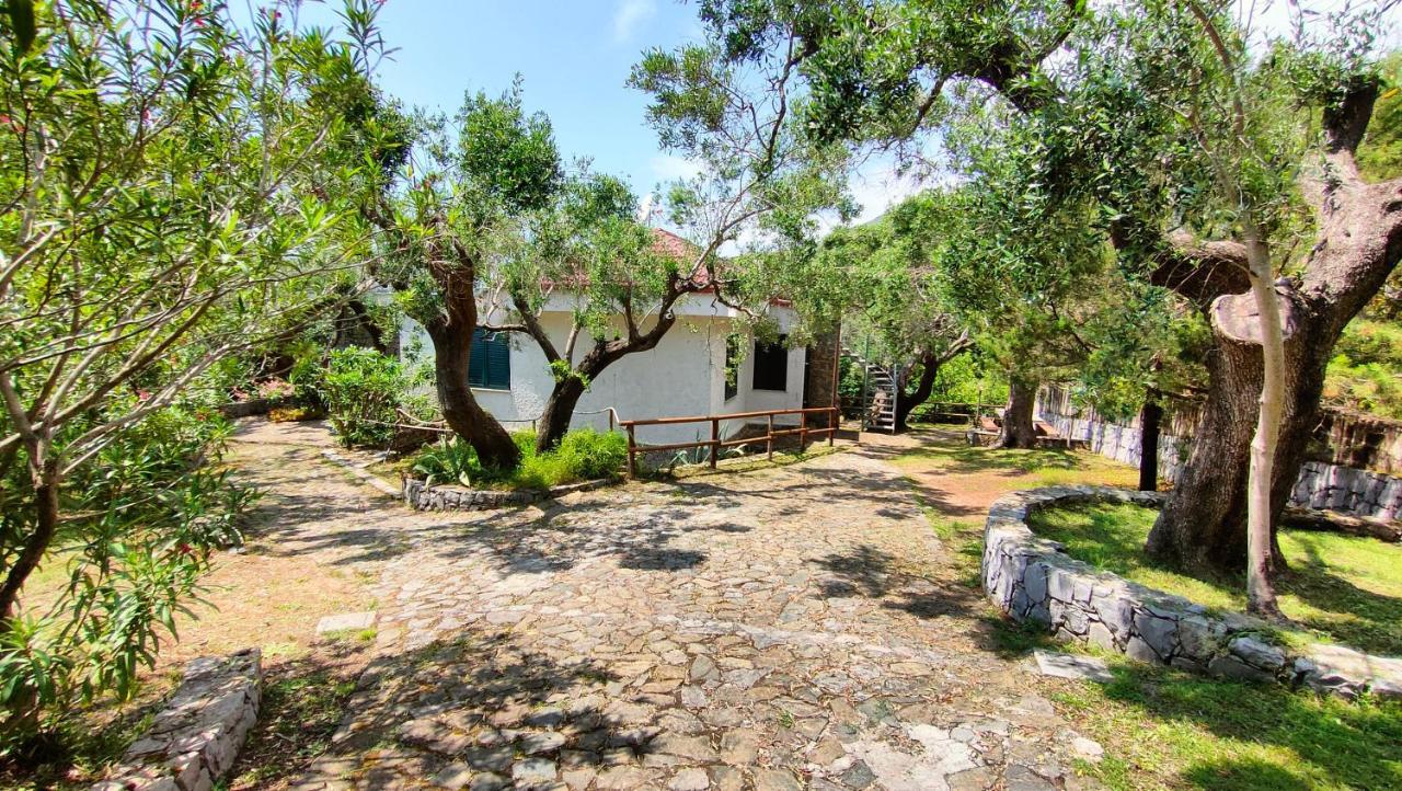 Villa Irma Marina di Camerota Zewnętrze zdjęcie