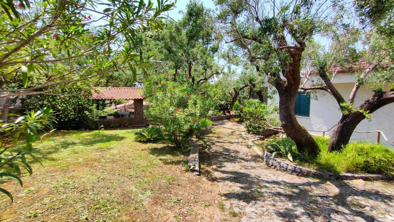 Villa Irma Marina di Camerota Zewnętrze zdjęcie