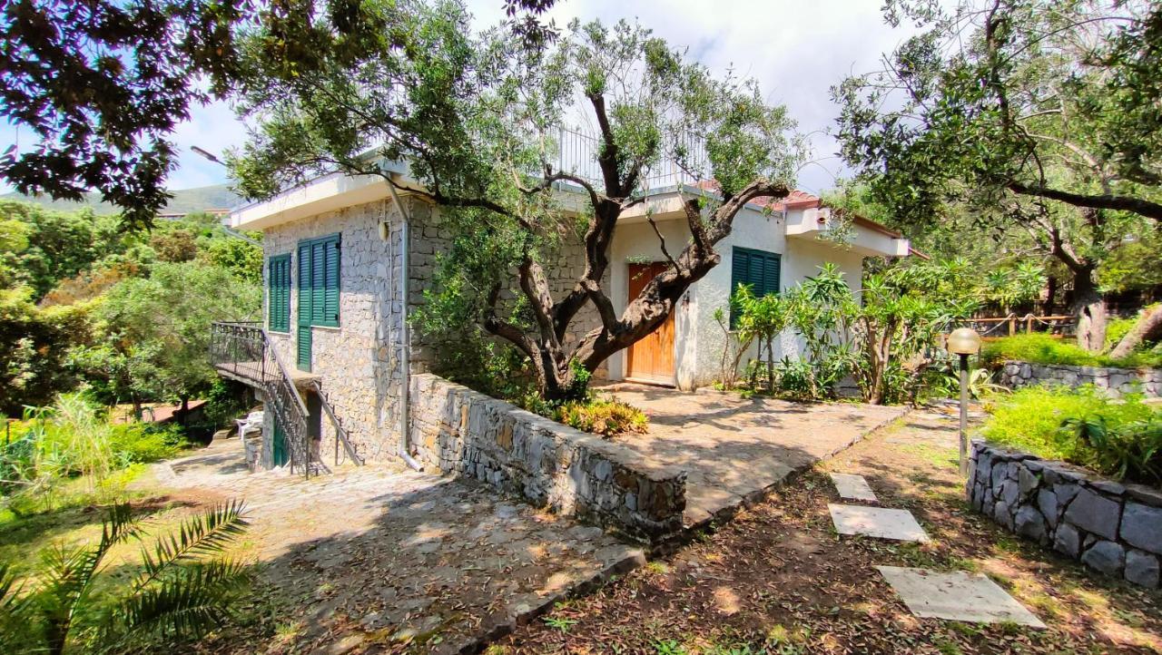Villa Irma Marina di Camerota Zewnętrze zdjęcie