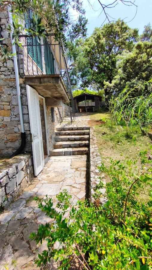 Villa Irma Marina di Camerota Zewnętrze zdjęcie