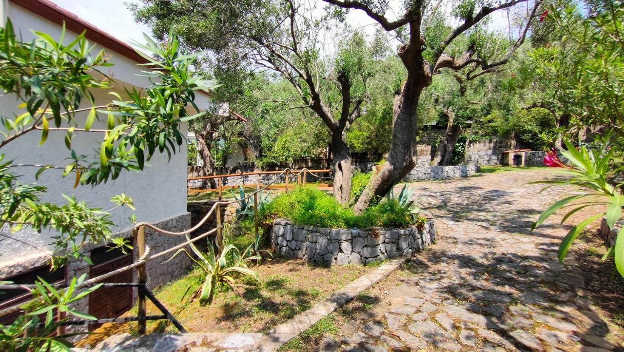 Villa Irma Marina di Camerota Zewnętrze zdjęcie