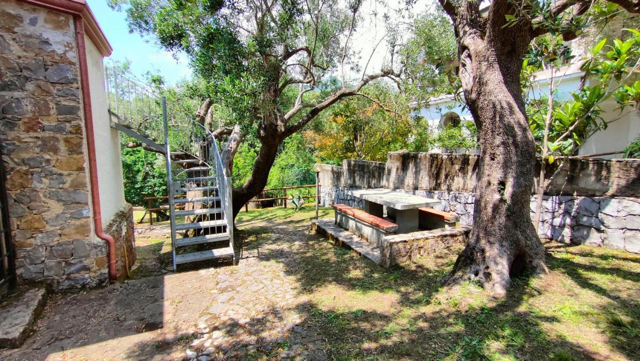 Villa Irma Marina di Camerota Zewnętrze zdjęcie