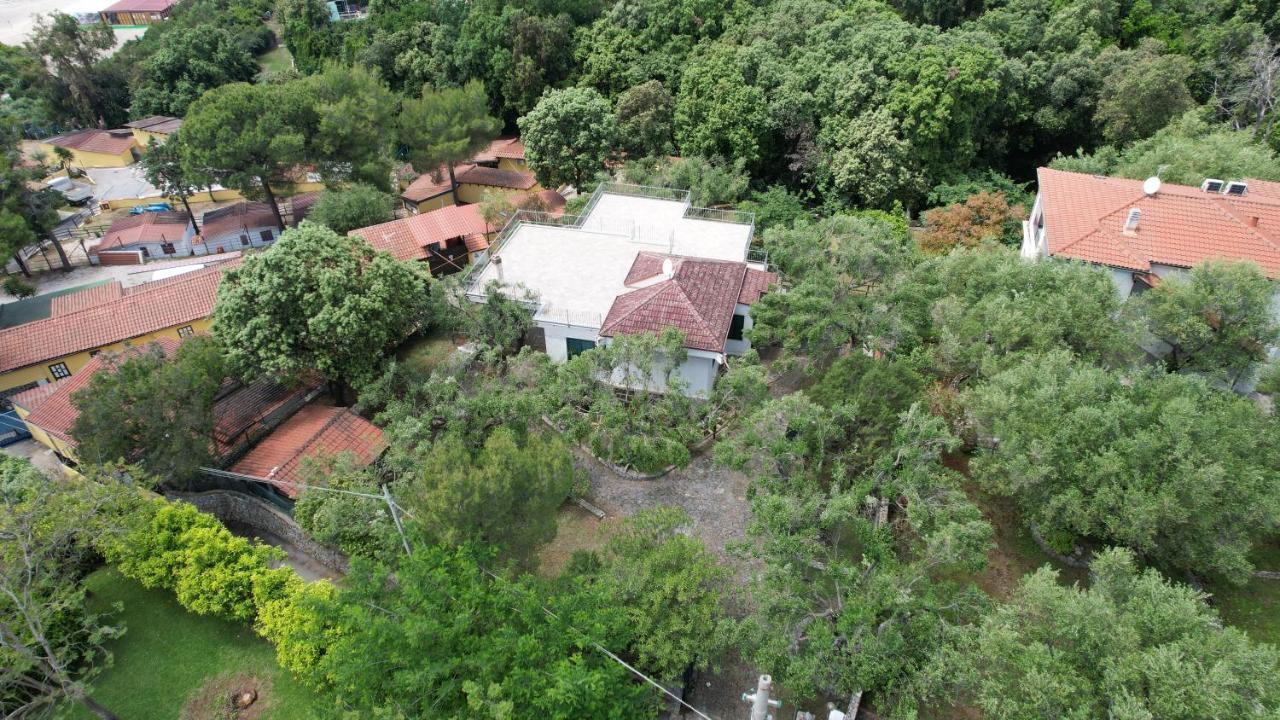 Villa Irma Marina di Camerota Zewnętrze zdjęcie